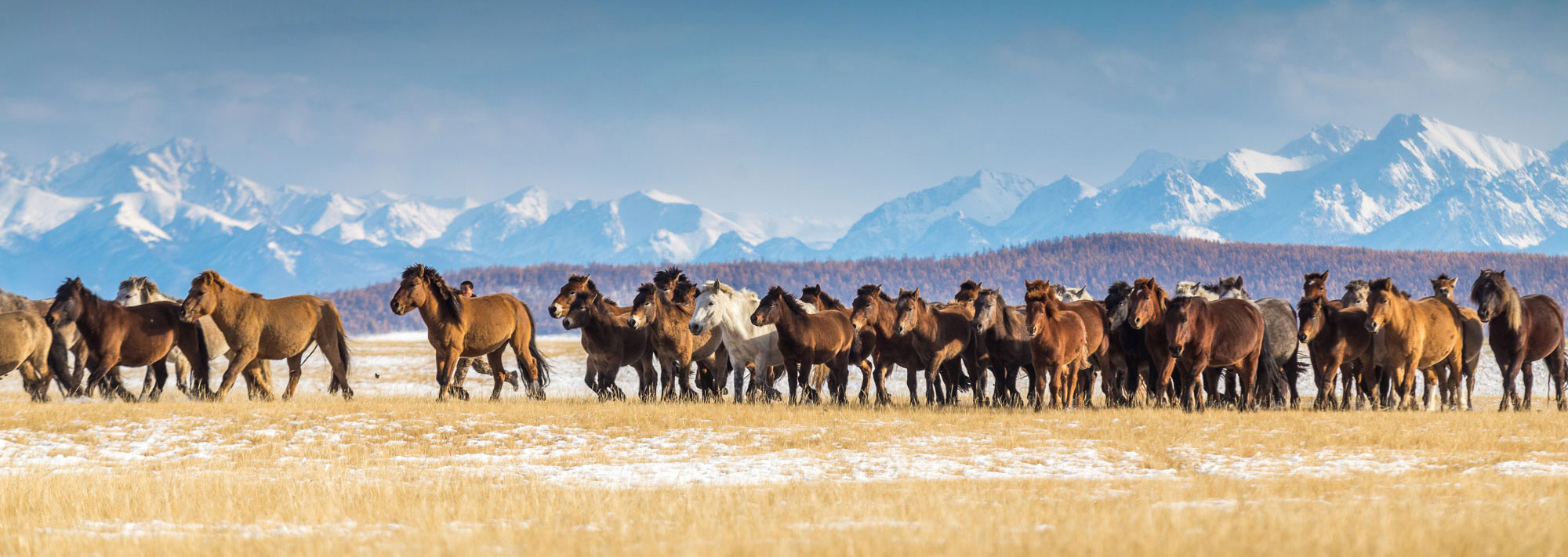 The Mongolia tour to explore vast and varied landscapes
